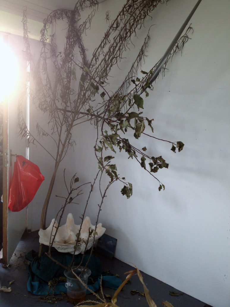 Chloe Mandy In Residenc 2