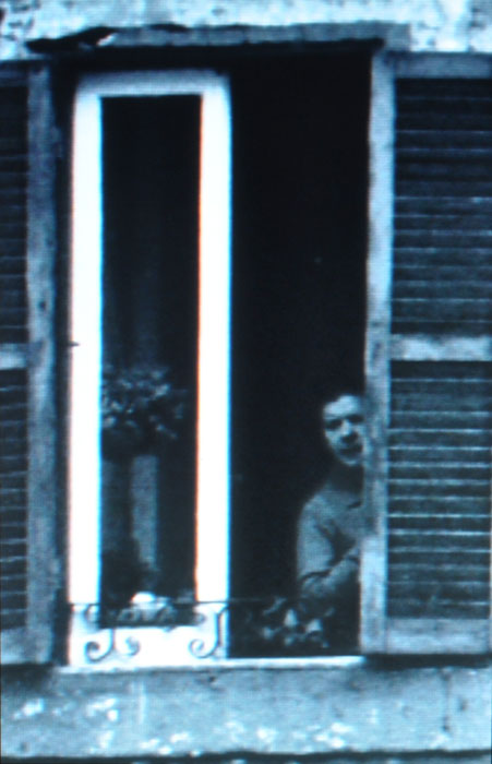 Judith Stewart August