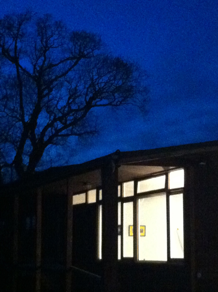 Queenofhungary winter