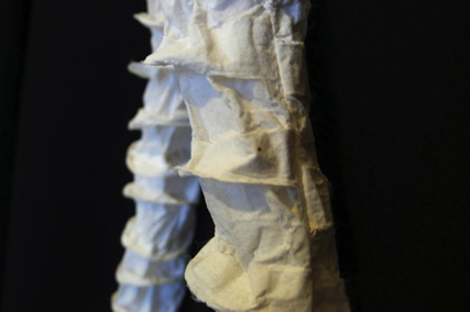Stephanie Potts Spines